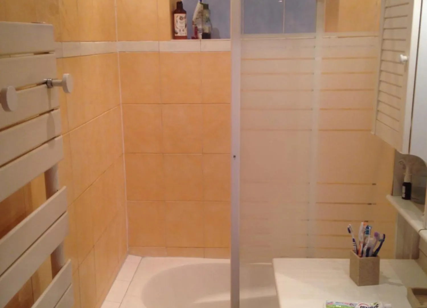 Homestay Guest House Dans Appartement Sur Paris France
